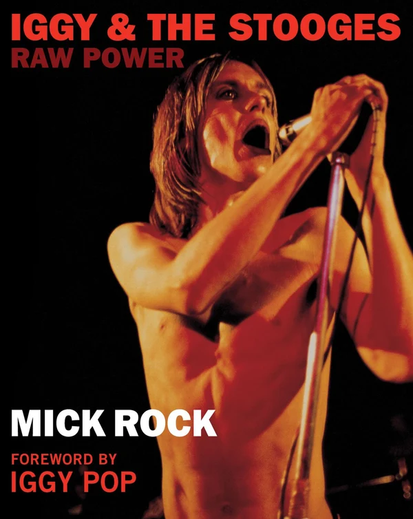 Cover of Iggy & the Stooges: Raw Power